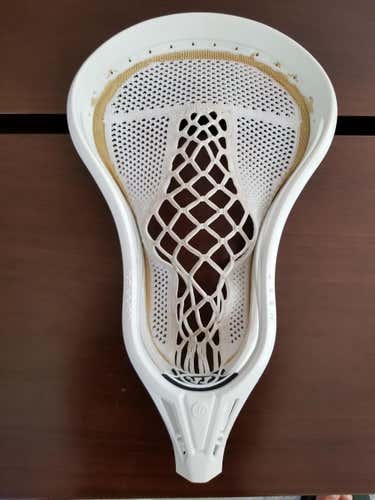 Warrior Warp Next Head