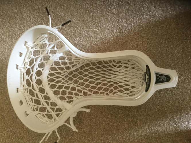 New Brine Dictator ST Head