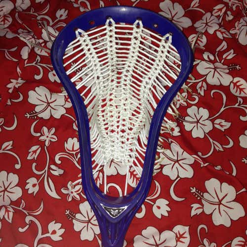 Warrior Rabil 2