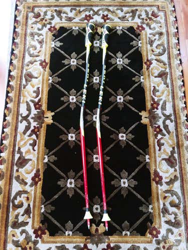 Leki World Cup Lite GS Poles 100 cm