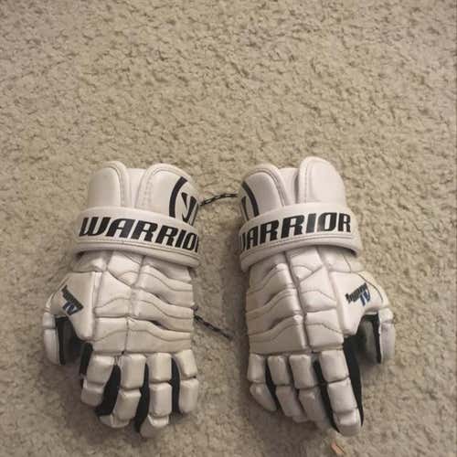 Used Warrior Gloves