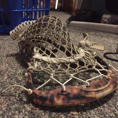 STX Vector