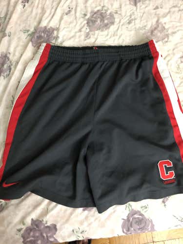 Cornell Lacrosse Nike Team Issue Shorts