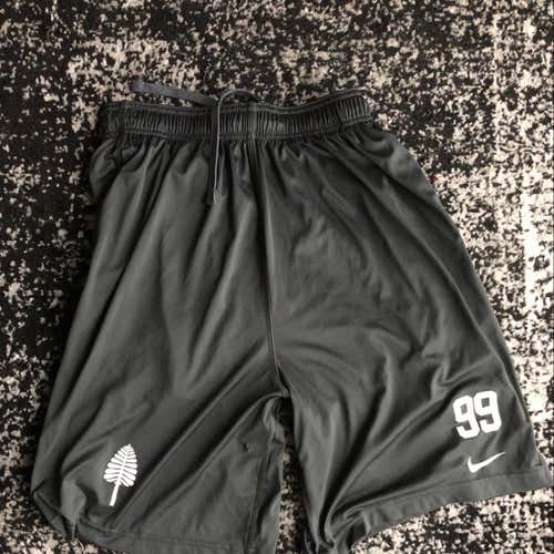 Dartmouth Lone Pine Nike Dri Fit 3 Pocket Shorts
