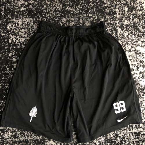 Dartmouth Lone Pine Nike Dri Fit 3 Pocket Shorts