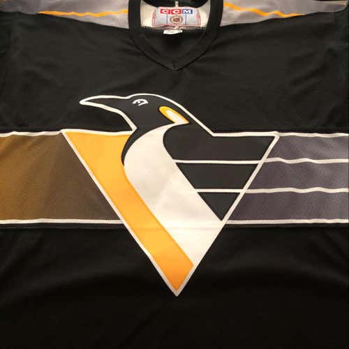 Pittsburgh Penguins 95’-96’ Third Jersey