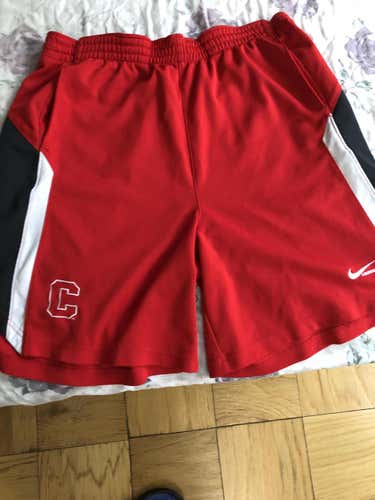 Cornell Lacrosse Nike Team Issue Shorts