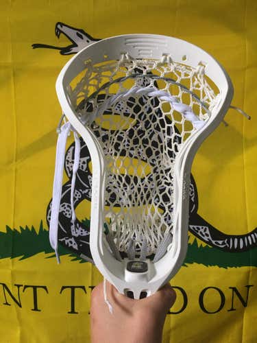 New Epoch Hawk Prequel Head