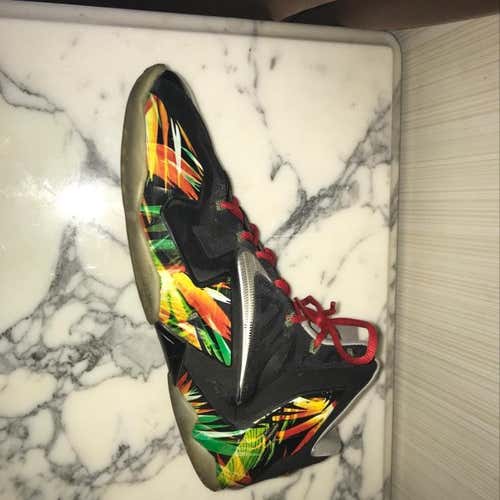 LeBron 11 Everglades