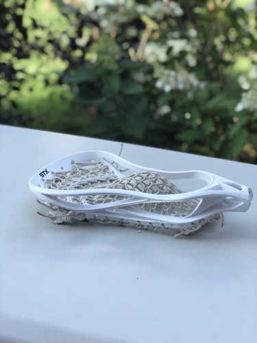 STX Professor 2010 Head
