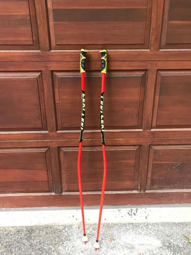 Leki 125 GS Poles