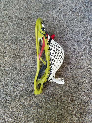 Rabil Limited Edition Head new