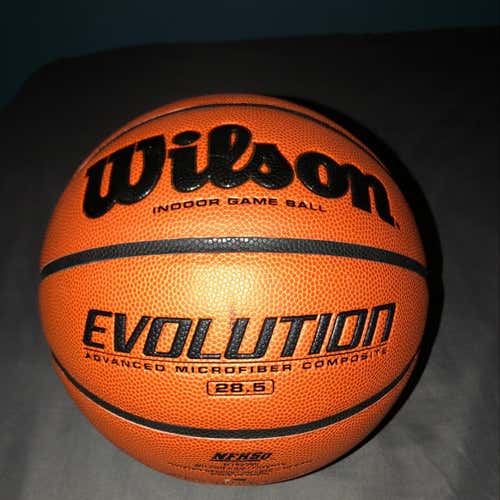 Wilson Evolution Basketball