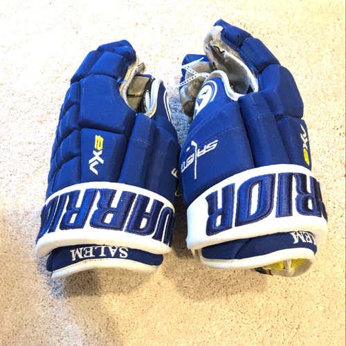 Warrior Dynasty AX2 Team Stock Blue 13”