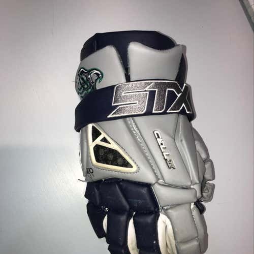 Chesapeake Bay hawks Game Used Glove