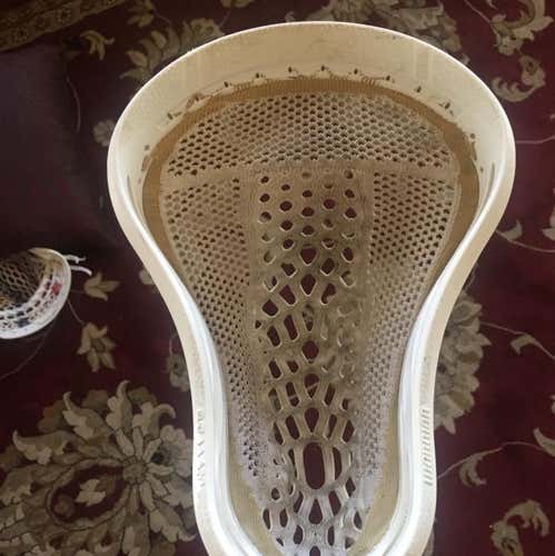 Warrior Warp Low