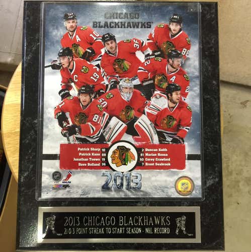 Blackhawks 2013 Picture Plaque Used
