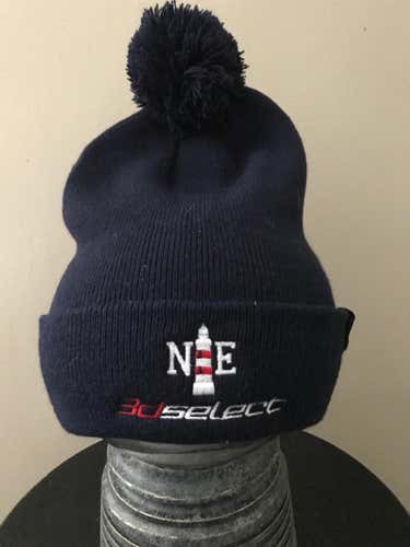 3d New England beanie