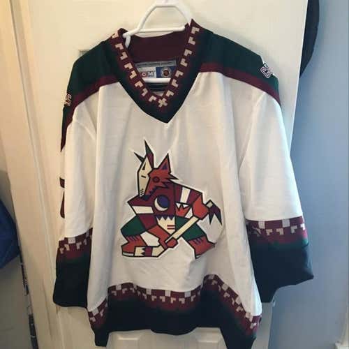 Phoenix Coyotes Roenick Jersey
