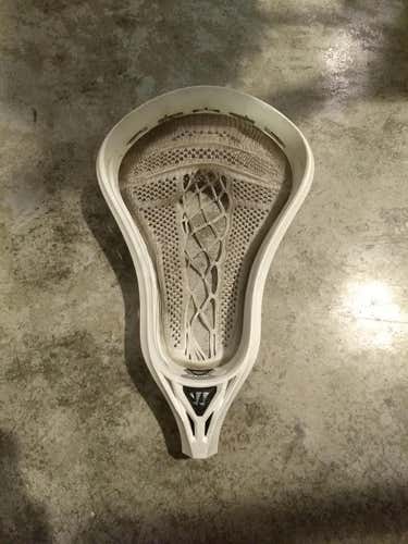 Warrior Reg Max Warp Pro