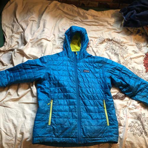 Patagonia Micro Puffy