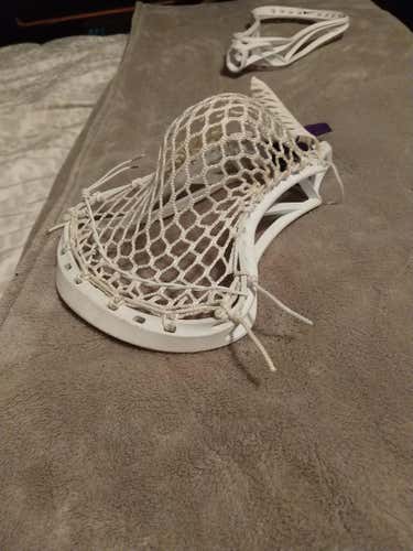 Strung East Coast Dyes Head