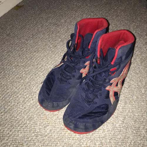 Wrestling Shoes