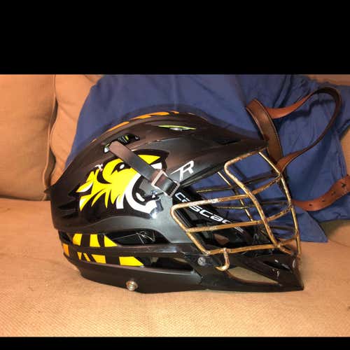 Casacade R Helmet