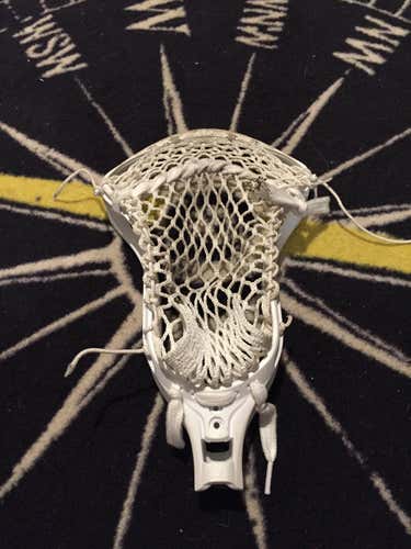 STX Stallion 550