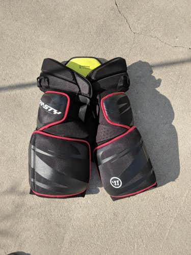 Warrior Dynasty Girdle Size Large with 2 shells in great condition