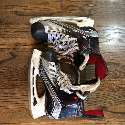 Bauer Vapor 1X 5.5D