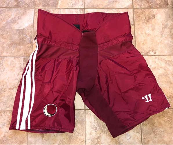 Pro Stock XL Warrior 9K Shell Phoenix Coyotes