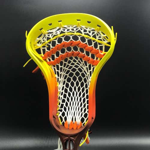 Fall ball Wolf Rekon