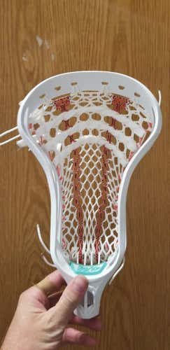 New Head