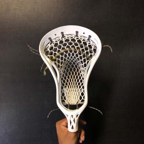 Warrior Noz 2