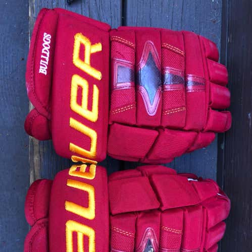 Ferris State Nexus 1N Gloves