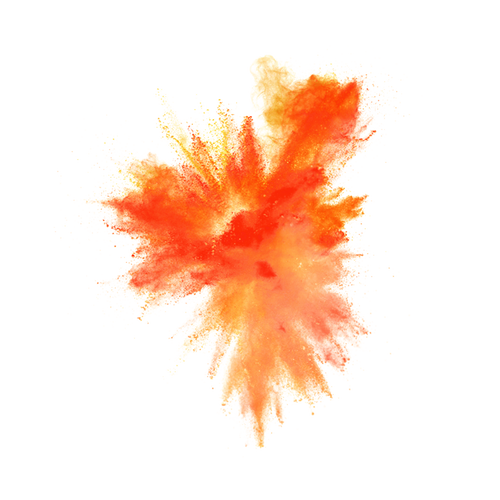 Black Lab Shorts for Laxer XL