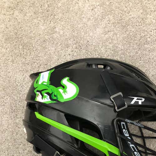 Lizards Used R Helmet