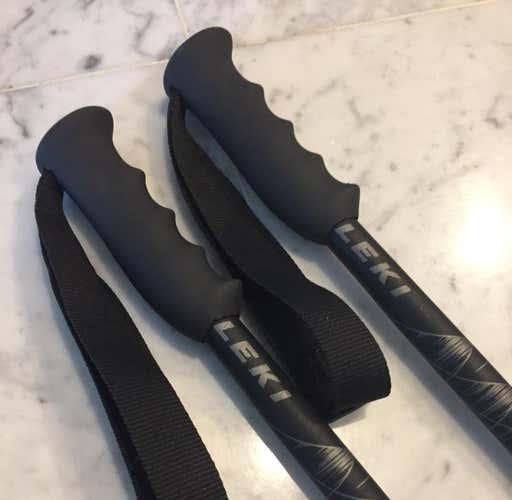 Leki Ski Poles High End Perfect Shape