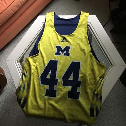 Michigan Reversible Pinny