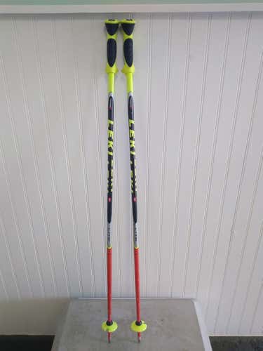 Leki GS - World Cup Poles