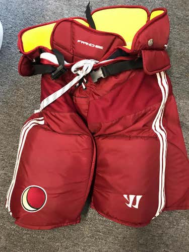 Warrior Franchise Pants Senior