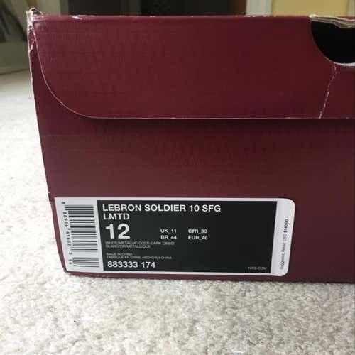 Custom LeBron Solider 10 Cleats