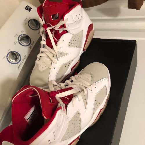 alternate jordan 6