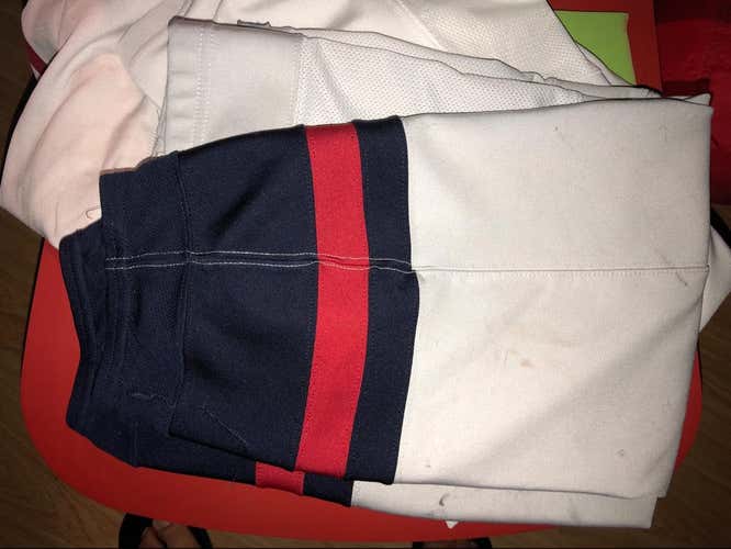 Grand Rapids Griffins Pro Stock Hockey Socks