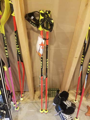 New Leki Poles