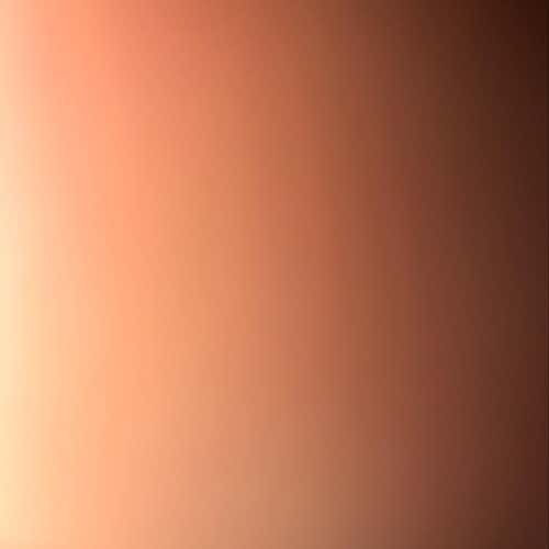 For Buyer, Two Heads And Yale Pinnie