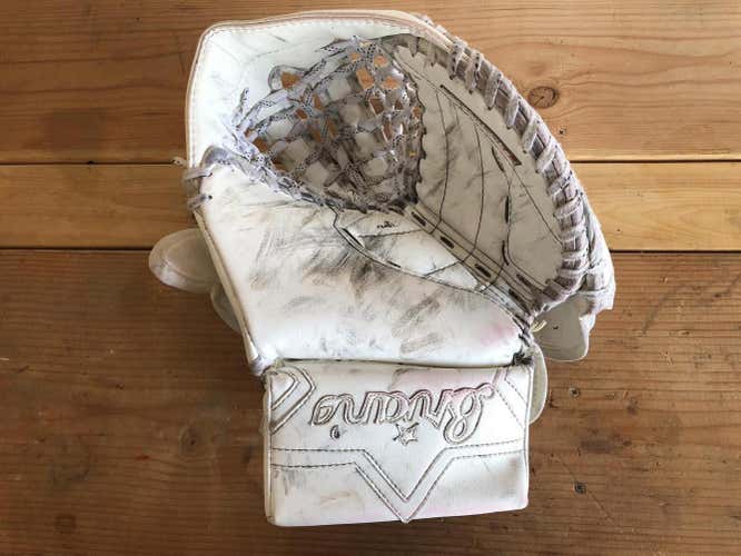 Brian's 2017-18  Heritage Pro Goalie Glove