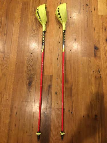 Leki Race Carbon Poles with Large Gate Guard