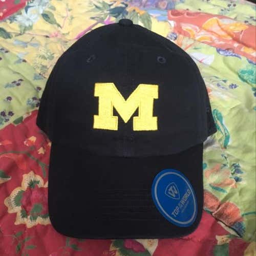 Michigan Hat Brand New